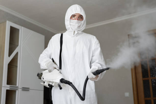 Why You Should Choose Our Mold Remediation Services in Epworth, IA